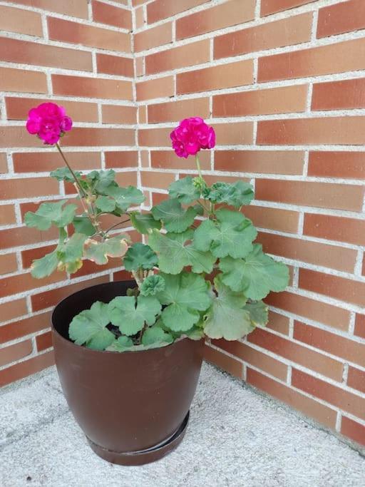 Casa Laurel Apartment Camarles Екстериор снимка